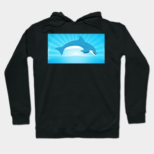 Dolphin Leaping In Front Of Grid Balls Hoodie